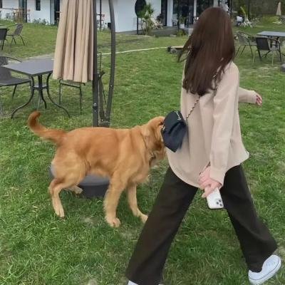 回到高中时第一季